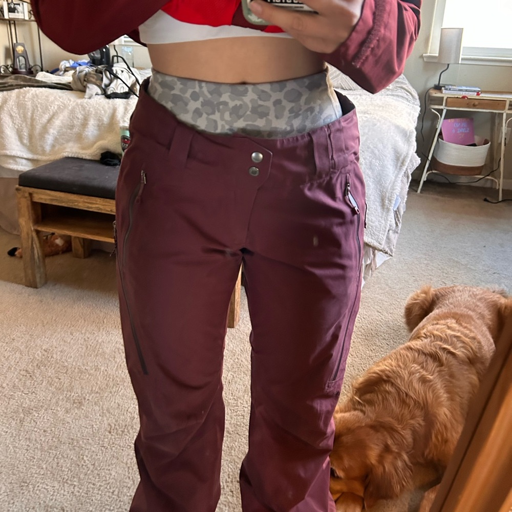 Patagonia gorotex pants